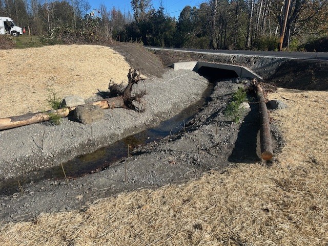 Chapman Creek Culvert Replacement